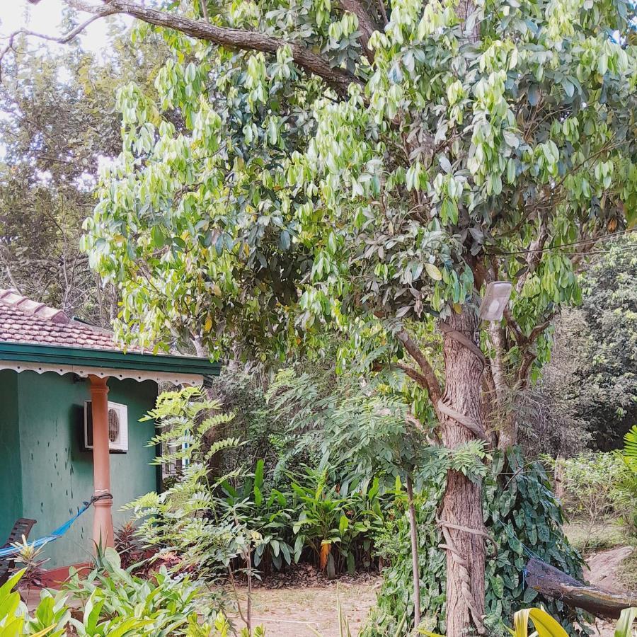 Sigiriya Melrose Villas المظهر الخارجي الصورة